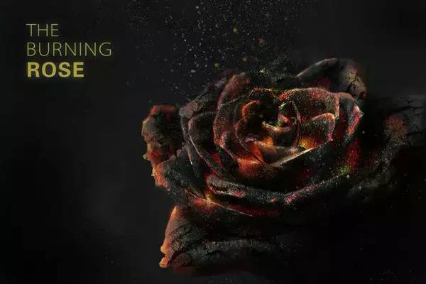 PS教你制作逼真的碳烧红玫瑰缩略图