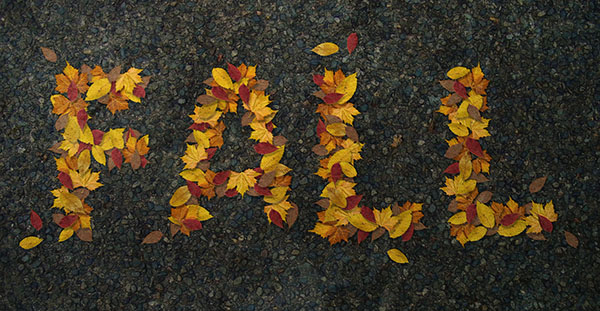 用PS造打造秋叶堆叠出的漂亮文字缩略图