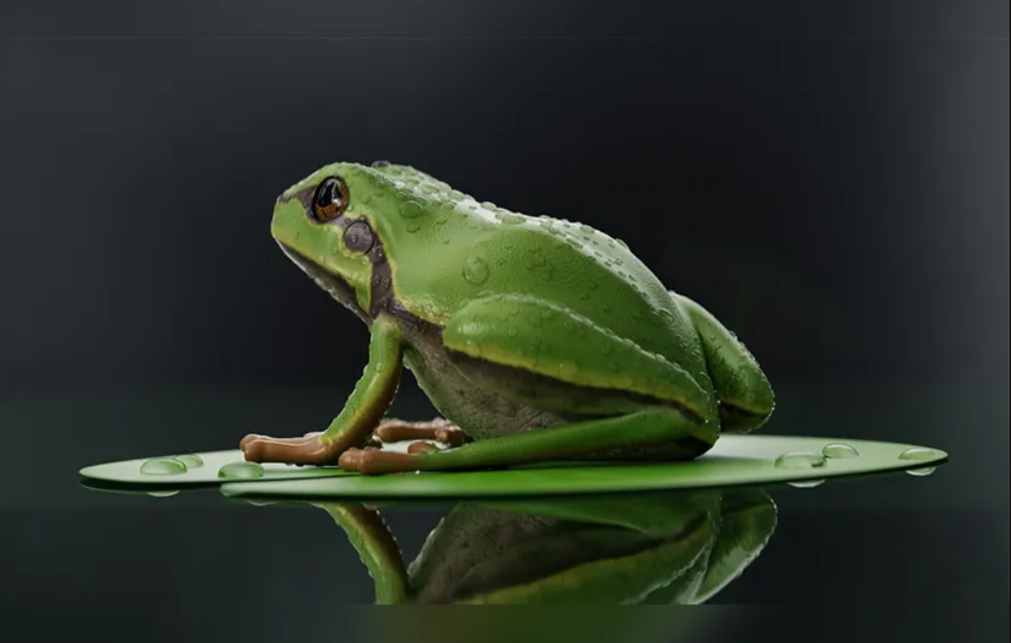 Blender水滴模拟器 – H2O droplet simulation插图 Blender水滴模拟器 – H2O droplet simulation