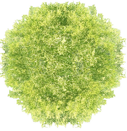 PS快速解决平面图批量种树缩略图