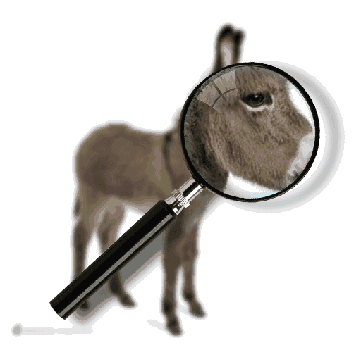 PS制作有趣的放大镜gif动画效果缩略图