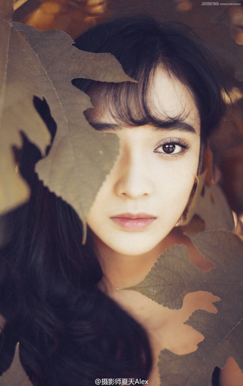 PS调出秋季树下美女图像怀旧效果缩略图