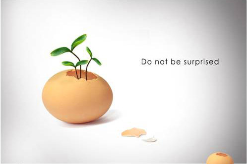 PS合成鸡蛋里长出来的萌萌哒小草缩略图