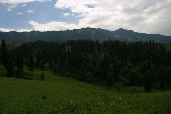 PS十秒钟调整曝光不足照片缩略图