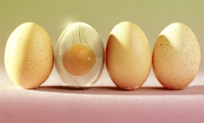 PS合成一个半透明的鸡蛋缩略图