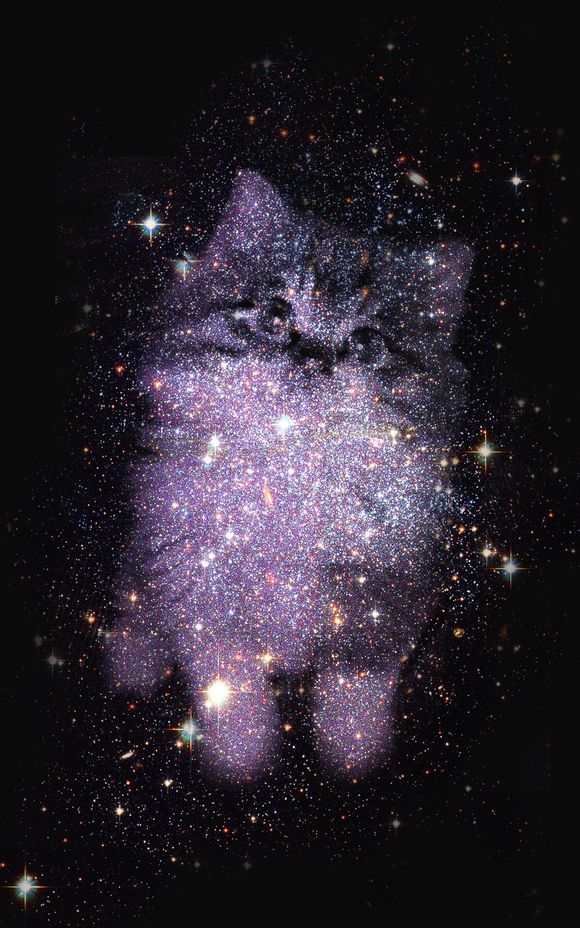 PS抠图：将猫咪图片打造成唯美星空效果图缩略图